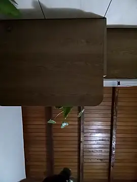 Sexi girl29 online show from October 2, 9:16 am