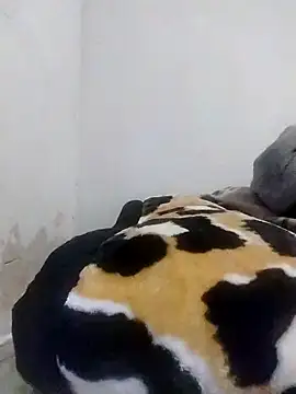 CertifiedSatisfier online show from October 29, 1:46 pm