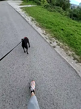 svenpfeifer online show from September 16, 6:58 am