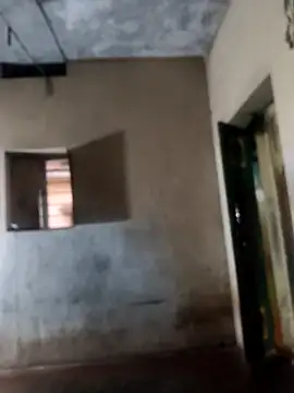 Snapshot of PolarFriend0 chatting on February 17, 12:56 pm PolarFriend0 online show from February 17, 12:56 pm