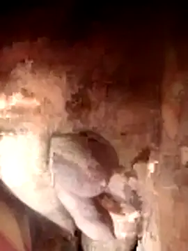 Snapshot of Ayush_pussy_fucker chatting on November 23, 6:08 pm Ayush pussy fucker online show from November 23, 6:08 pm