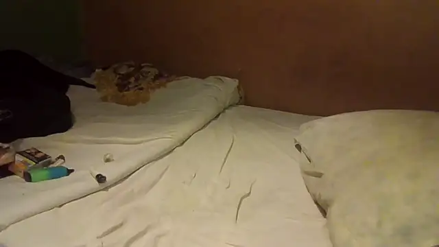 Snapshot of JoaoPinto0 chatting on September 13, 12:54 am JoaoPinto0 online show from September 13, 12:54 am