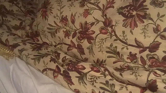 Snapshot of JoaoPinto0 chatting on October 6, 1:58 am JoaoPinto0 online show from October 6, 1:58 am