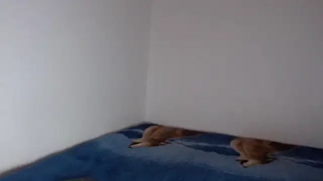 sharon sexy  online show from November 23, 8:41 pm