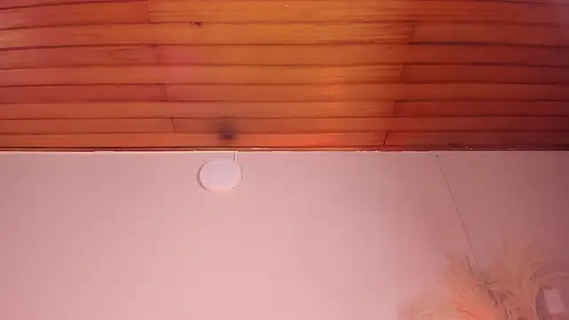 Snapshot of viol_collins__ chatting on March 22, 12:14 pm viol collins   online show from March 22, 12:14 pm