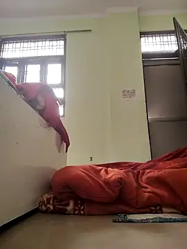 Desi Bhabi 01 online show from February 4, 3:34 am