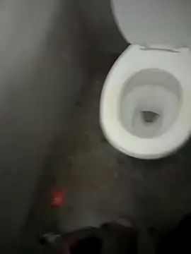 Snapshot of paptsimo chatting on December 13, 7:53 pm paptsimo online show from December 13, 7:53 pm