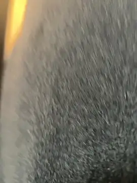 xiaoyuan01 online show from March 9, 2:04 am