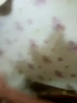 zim200 online show from April 12, 5:56 am