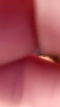 Snapshot of Fox_Roxxan chatting on September 22, 6:32 pm Fox Roxxan online show from September 22, 6:32 pm