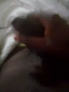 92donis online show from September 30, 3:55 am