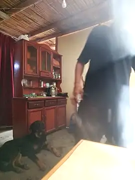 LecheDeSoya666 online show from December 4, 7:55 pm