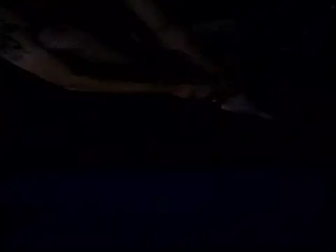 Snapshot of Crossedsissy chatting on December 15, 5:34 am Crossedsissy online show from December 15, 5:34 am