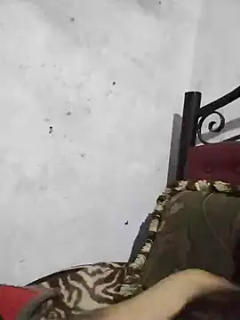 salimbasha online show from April 16, 12:44 am