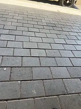 kamo012000 online show from February 11, 10:09 am