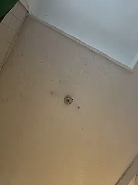 cam11 07 online show from April 8, 9:37 pm