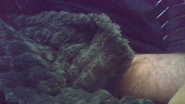 HairyHornyTwinkx online show from October 18, 8:04 am