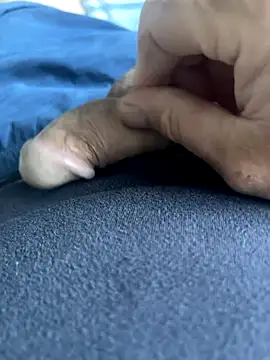 Snapshot of BobKat chatting on October 5, 7:50 am BobKat online show from October 5, 7:50 am