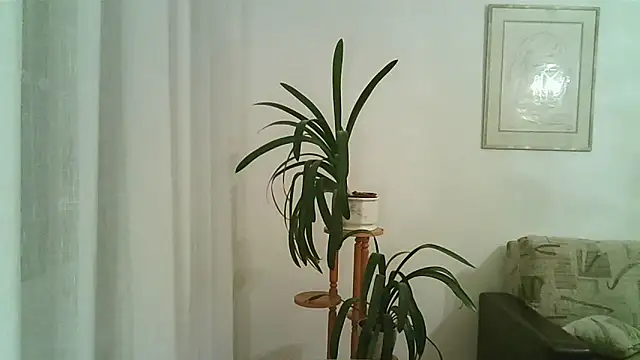 Snapshot of Dartanjanas13 chatting on November 28, 8:11 pm Dartanjanas13 online show from November 28, 8:11 pm