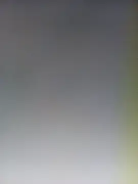 Reeta-rani online show from October 31, 2:01 am