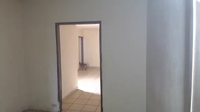 BlondZilla online show from April 3, 5:11 pm