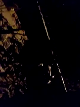 Ridick2025 online show from April 11, 3:55 am