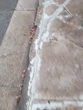 dickcurved38 online show from February 20, 4:53 am