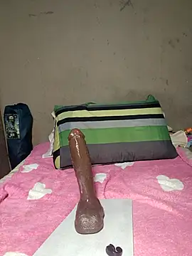 Snapshot of khetyvile chatting on November 14, 7:29 am khetyvile online show from November 14, 7:29 am