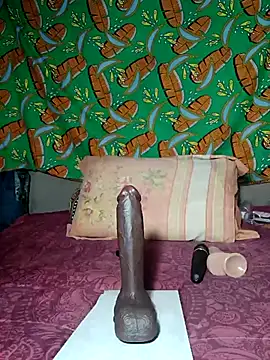 Snapshot of khetyvile chatting on November 22, 8:46 am khetyvile online show from November 22, 8:46 am