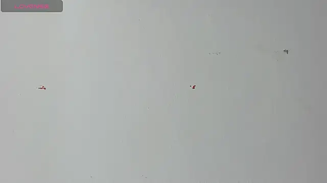 Snapshot of Lady_miss___ chatting on April 18, 12:20 pm Lady miss online show from April 18, 12:20 pm