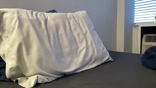 Snapshot of Wdesean4 chatting on April 29, 12:48 am Wdesean4 online show from April 29, 12:48 am