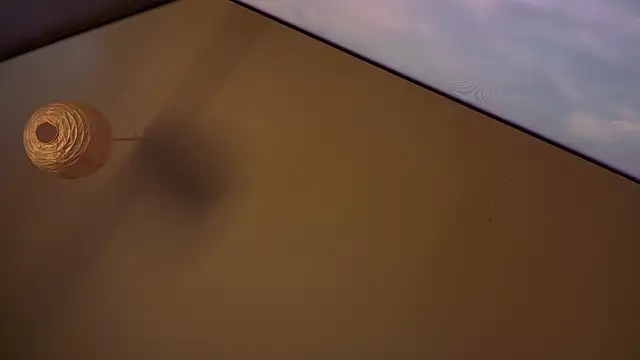 MasterDaddyCool online show from January 8, 7:27 pm