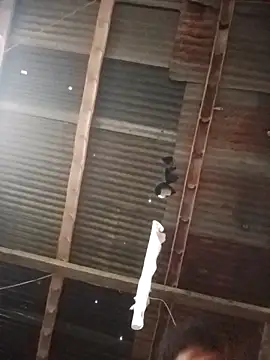 Davir2001 online show from March 1, 11:56 am