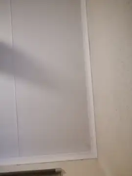 Pnice online show from November 3, 4:58 am