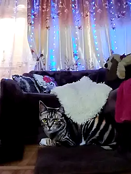 SquirtMilf00 online show from February 18, 7:10 am