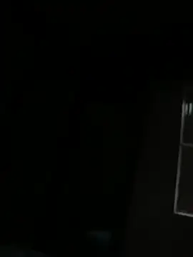 PIROCAGG21 online show from January 12, 8:19 am