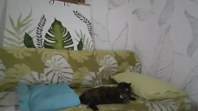 Snapshot of Catty_Lady chatting on September 27, 6:35 pm Catty Lady online show from September 27, 6:35 pm