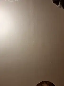 gazb90 online show from November 14, 11:24 pm