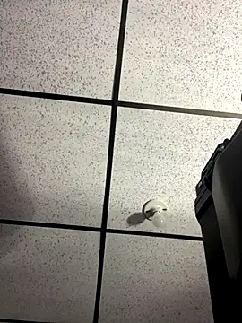 Snapshot of MR_MUSCLE chatting on September 19, 11:22 am MR MUSCLE online show from September 19, 11:22 am