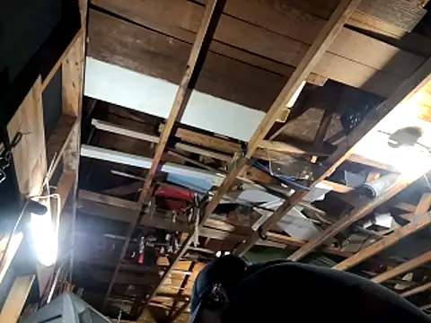 thejuicybacon online show from November 22, 2:10 am