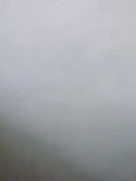 Saikishore00000 online show from February 3, 11:59 am