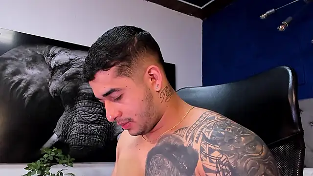 king falconer online show from January 13, 1:00 am