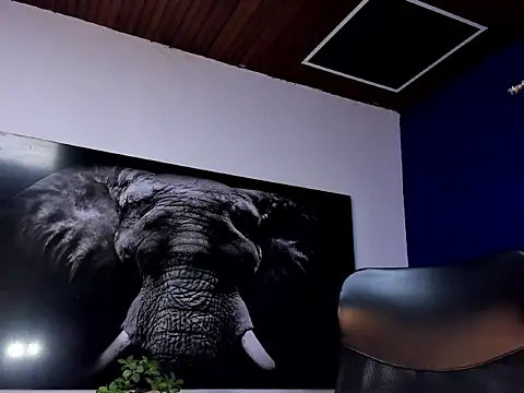 king falconer online show from January 15, 2:16 am