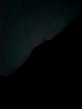 Snapshot of CatchingBouquet chatting on September 21, 7:37 pm CatchingBouquet online show from September 21, 7:37 pm