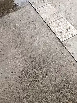 jvdzj-0  online show from October 19, 3:34 pm