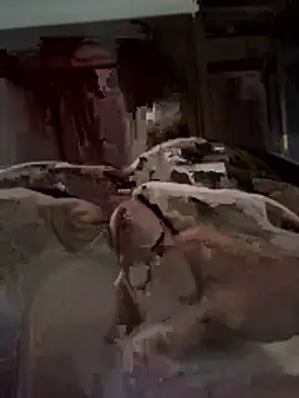 Snapshot of DANIELOLIVEIRA2 chatting on February 11, 4:56 pm DANIELOLIVEIRA2 online show from February 11, 4:56 pm