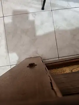 Exoticovergon online show from April 30, 7:09 pm