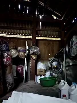 cincin 677 online show from September 11, 1:28 am