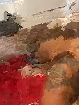 Snapshot of morenaluaa chatting on October 22, 4:40 pm morenaluaa online show from October 22, 4:40 pm