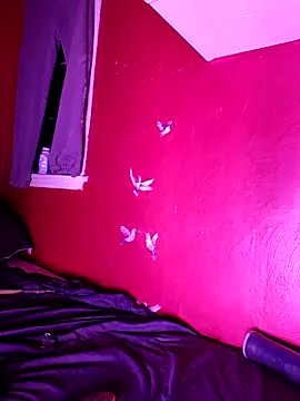 Cnutt310 online show from October 25, 8:55 am